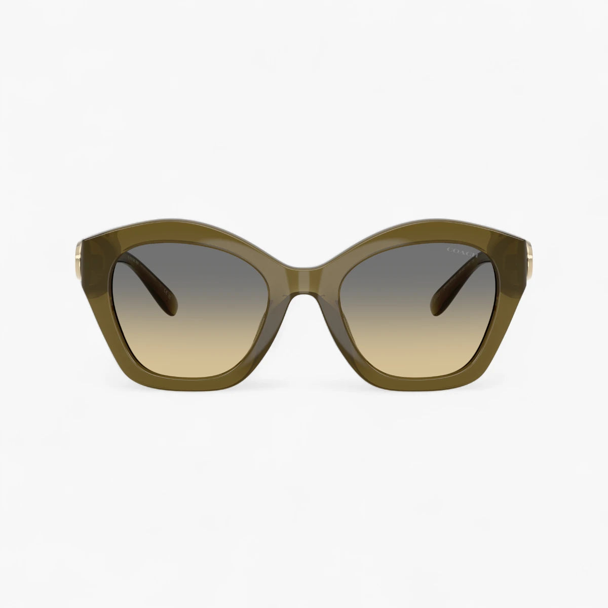 Maxi Sculpted C Oversized Geometric Sunglasses – Levisons