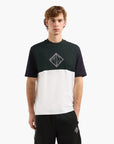 Armani Exchange Regular Fit Cotton Crewneck Colour Block T-Shirt With Central Branding | LEVISONS