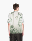 Armani Exchange Regular Plus Fit Cotton Crewneck T-Shirt With Palm Tree Print | LEVISONS