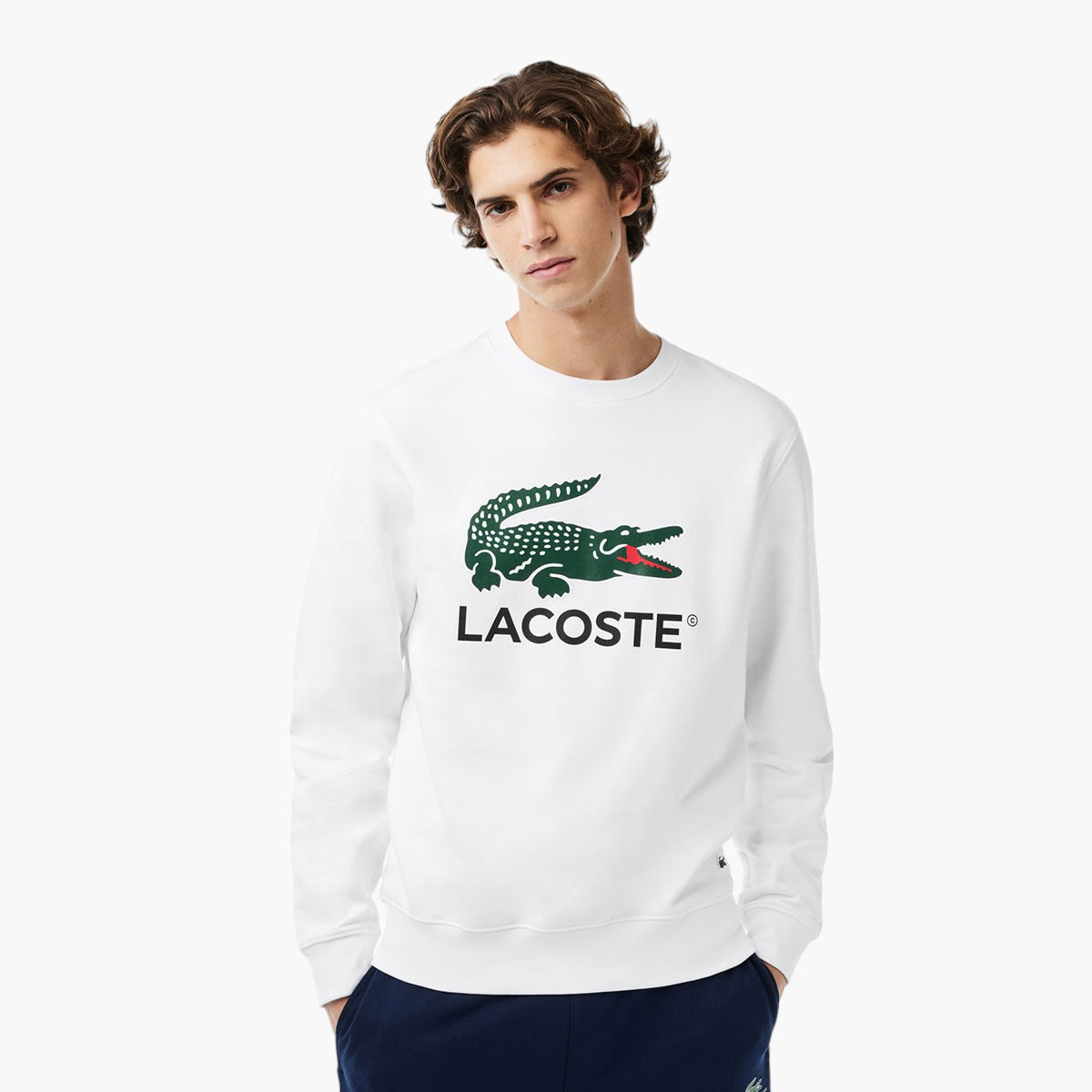 Price Lacoste Strickpulli Big Logo Lacoste Logo Pullover Lacoste