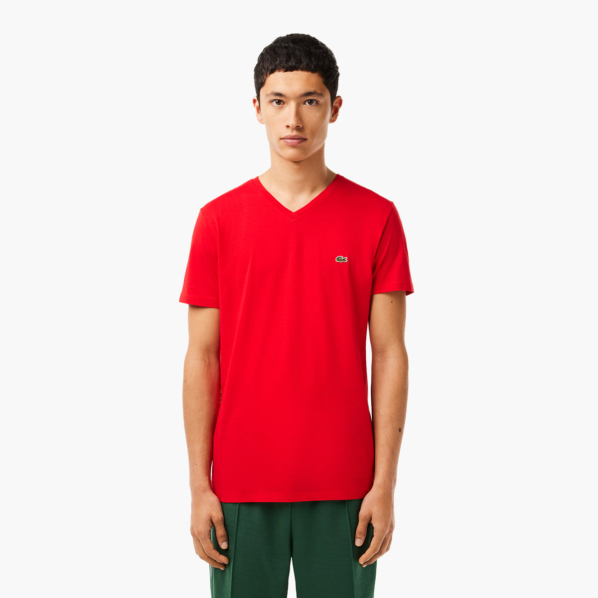 Crew Neck Pima Cotton Jersey T-Shirt – Levisons