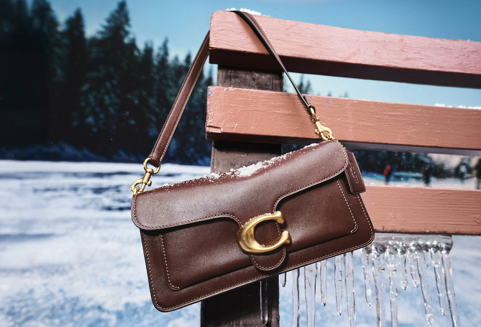 Coach Bags - Festive Season