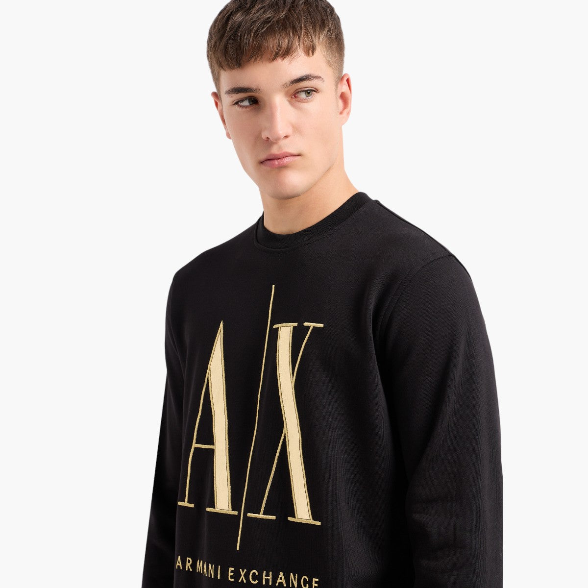 Armani Exchange Icon Crewneck Sweatshirt | LEVISONS