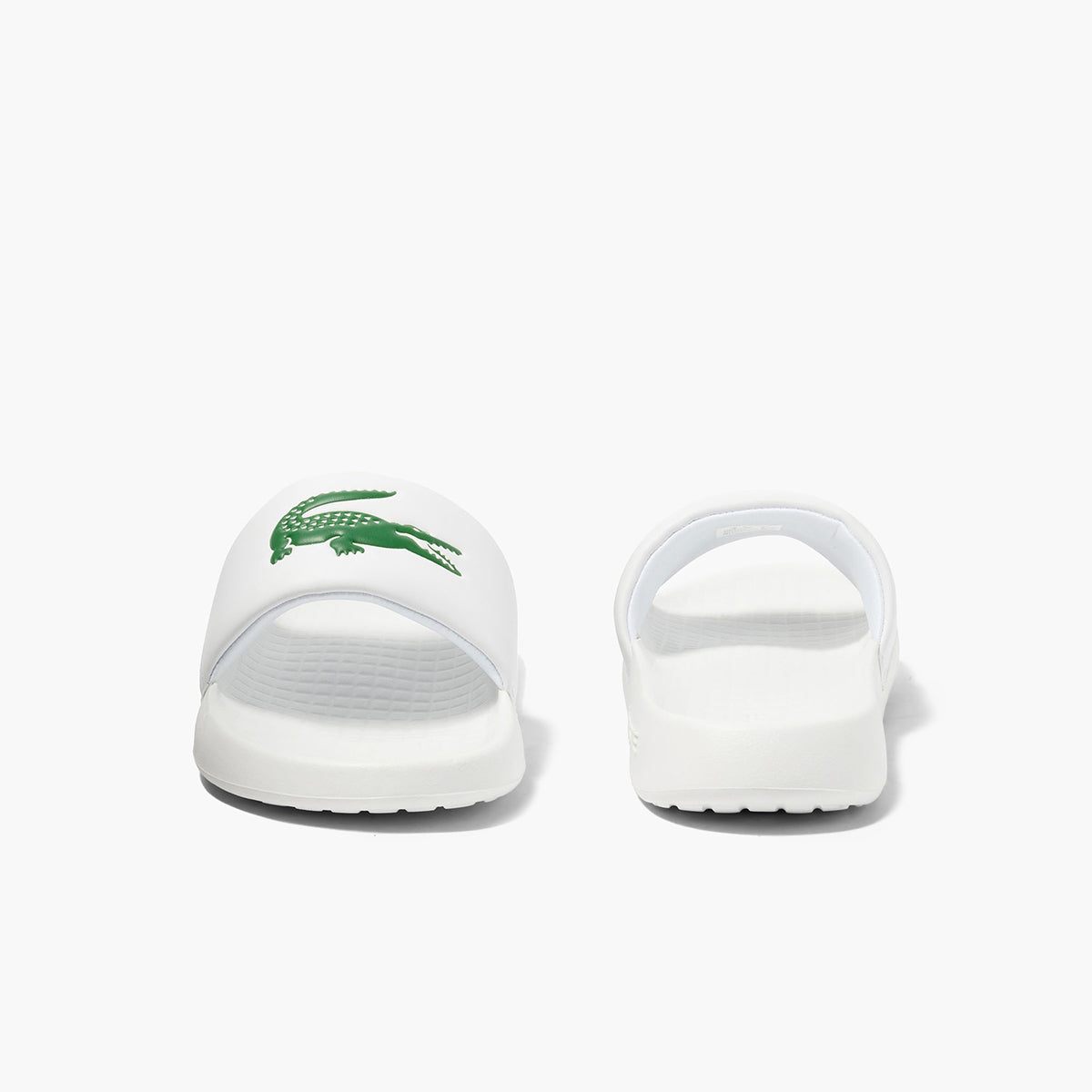 Croco 1.0 Synthetic Slides Levisons