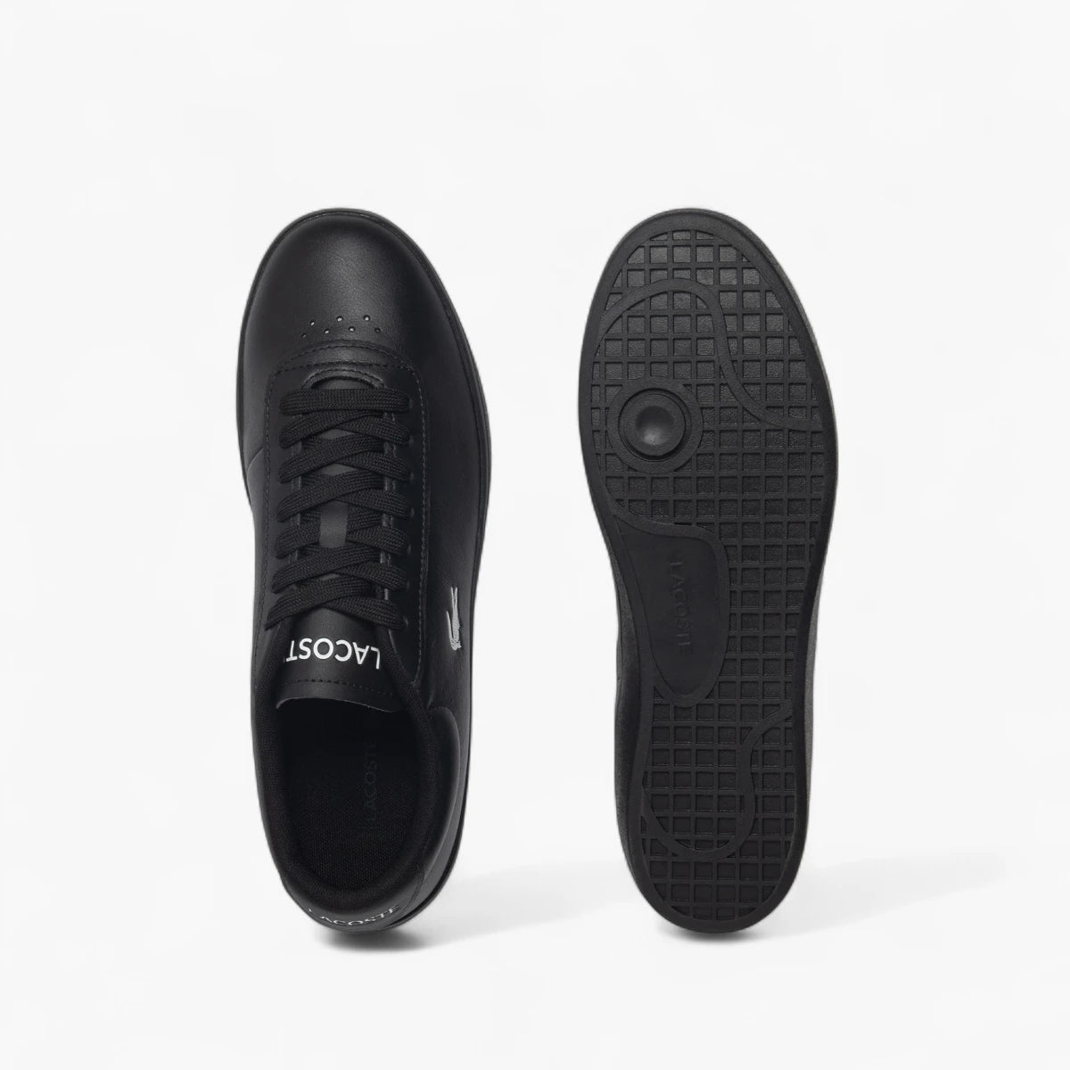 Lacoste Baseshot Evo Leather Sneakers | LEVISONS