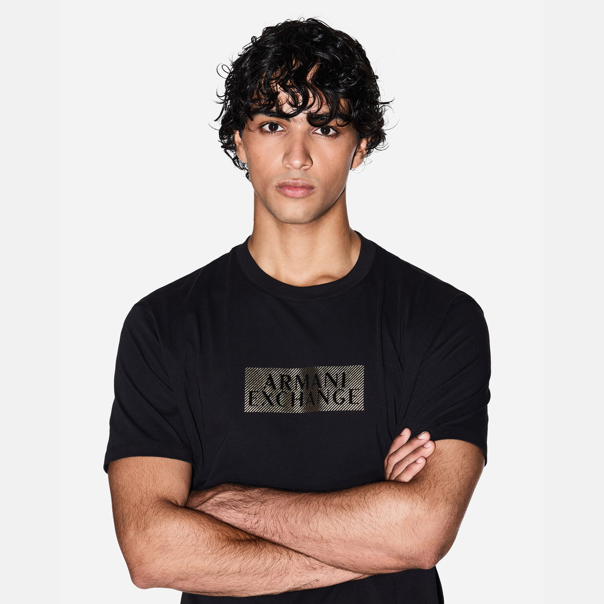 Armani Exchange Regular Fit Cotton Crewneck T-Shirt With Central Gold Branding | LEVISONS