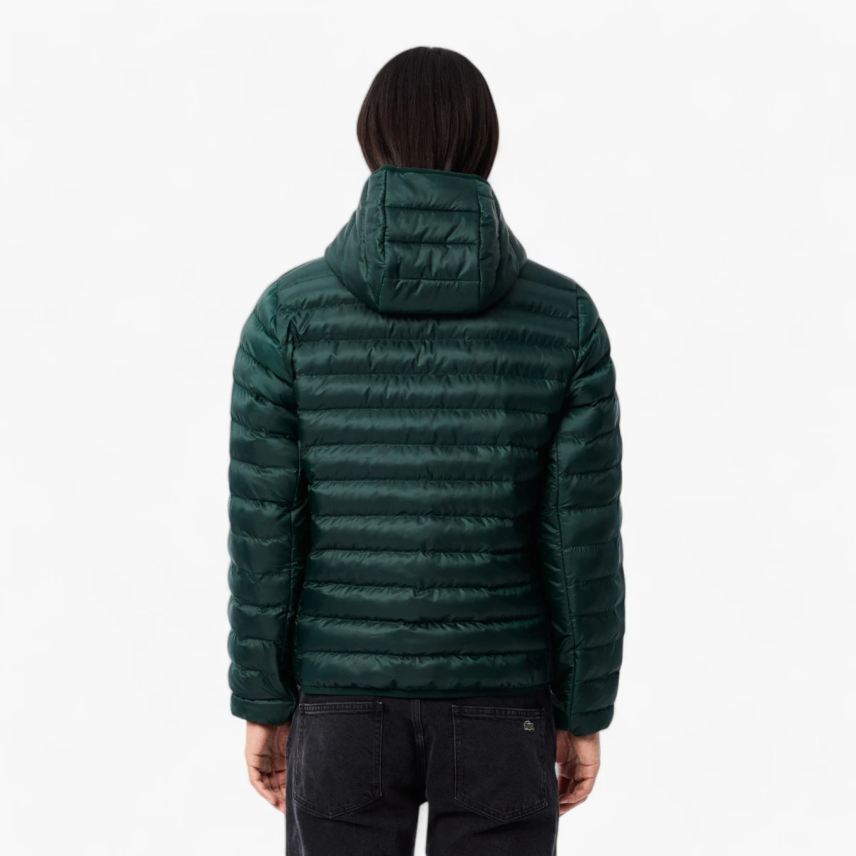 Lacoste Water Repellent Puffer Jacket | LEVISONS