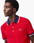 Lacoste Regular Fit Stretch Cotton Piqué Contrast Collar Polo Shirt | LEVISONS