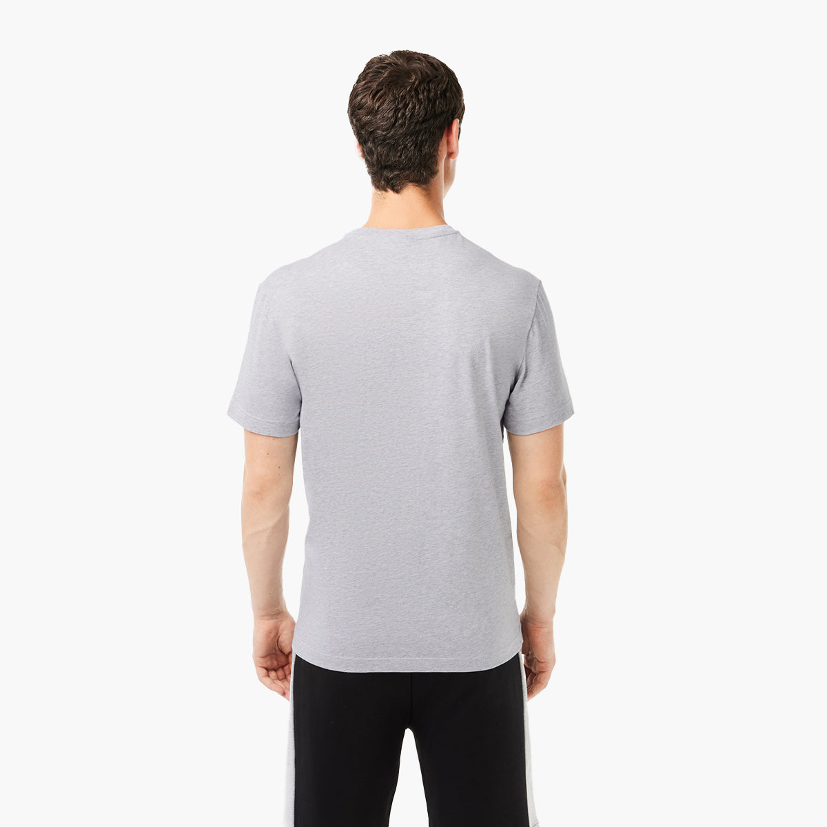 Lacoste Regular Fit Printed Colourblock T-Shirt | LEVISONS