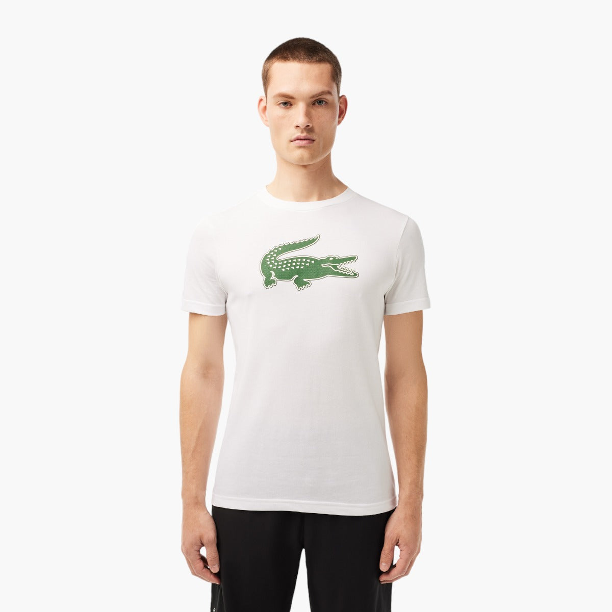 Lacoste Crew Neck Crocodile Print Organic Cotton T-Shirt | LEVISONS