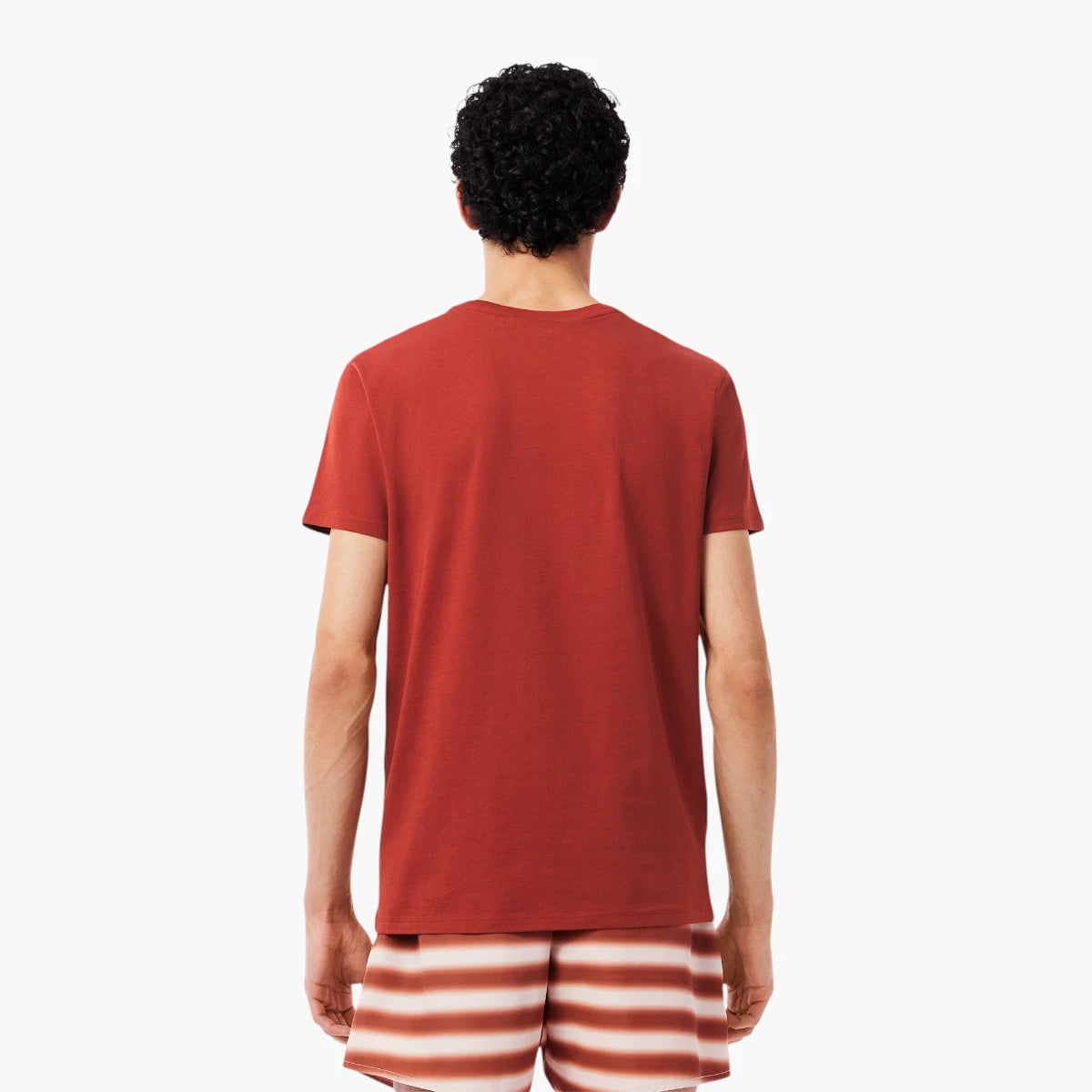 Lacoste Cotton Pima T-Shirt | LEVISONS