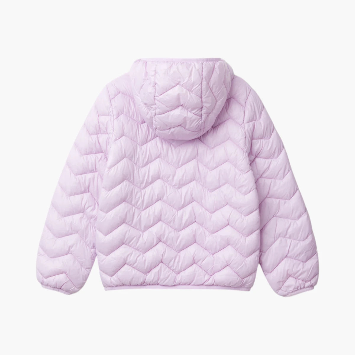 Padded Jacket With Hood