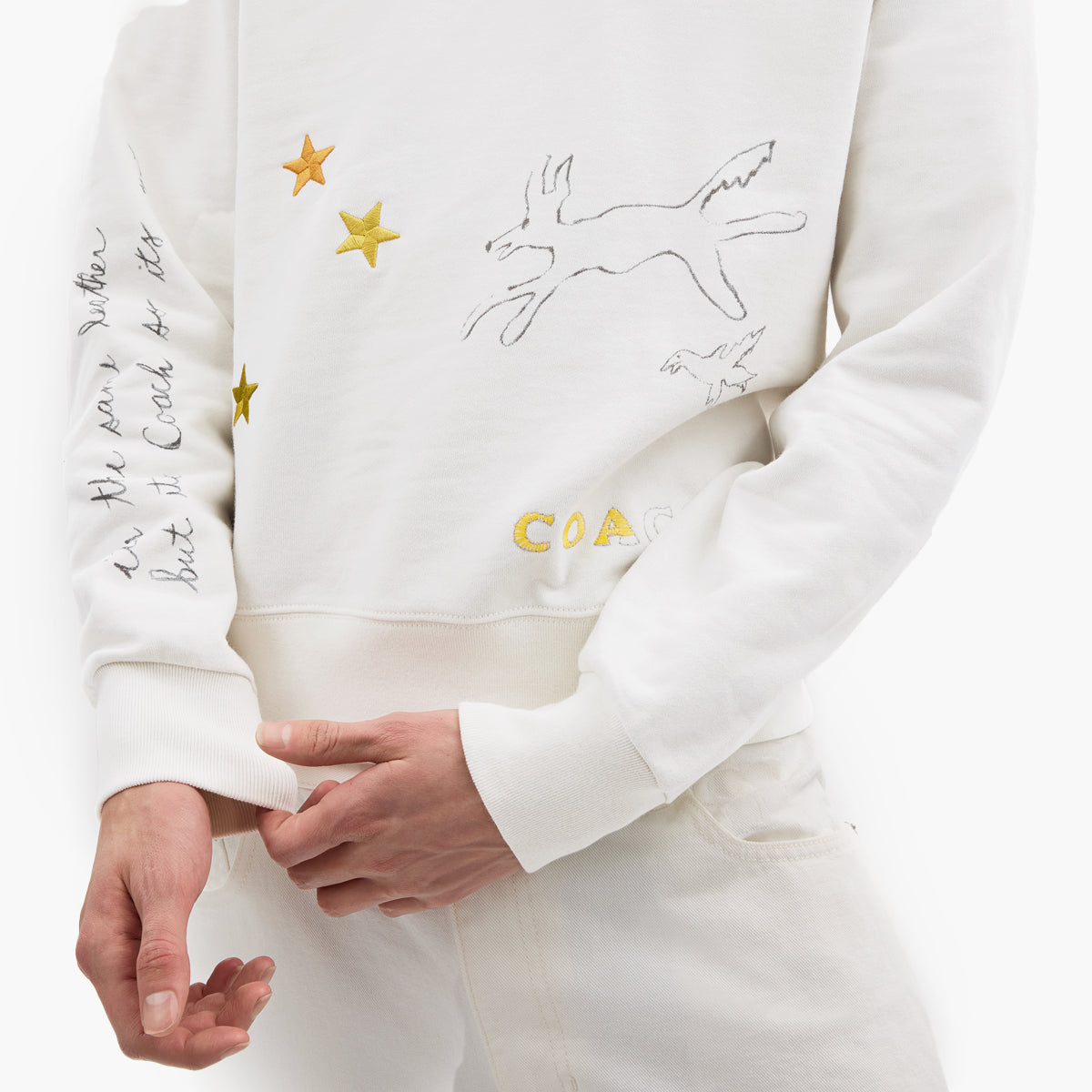 Coach Shrunken Sketch Print Crewneck Sweatshirt | LEVISONS