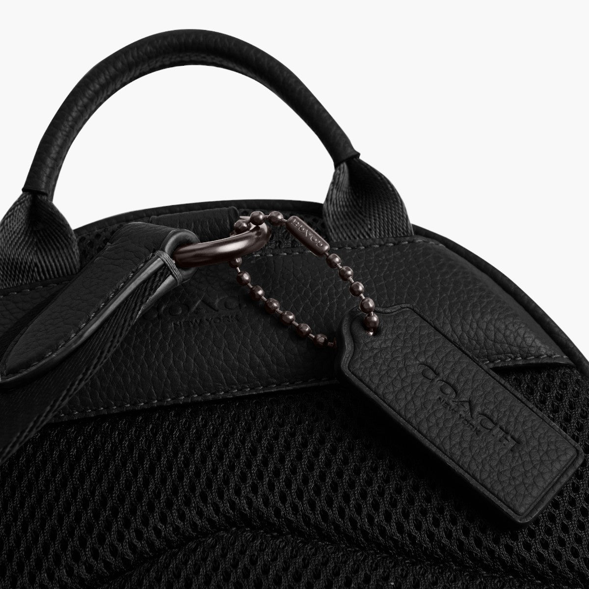 Coach Charter Pack | LEVISONS